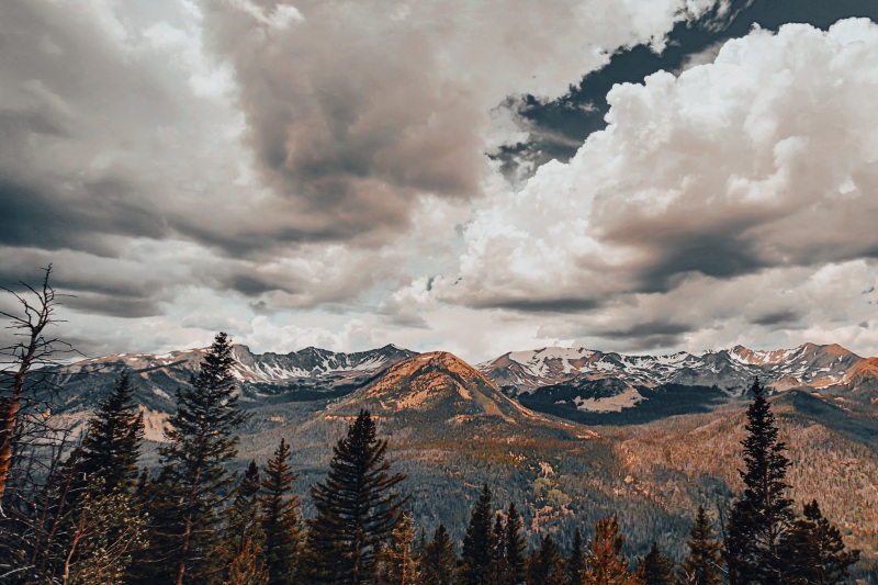 McCains Creations Photography Art Gallery